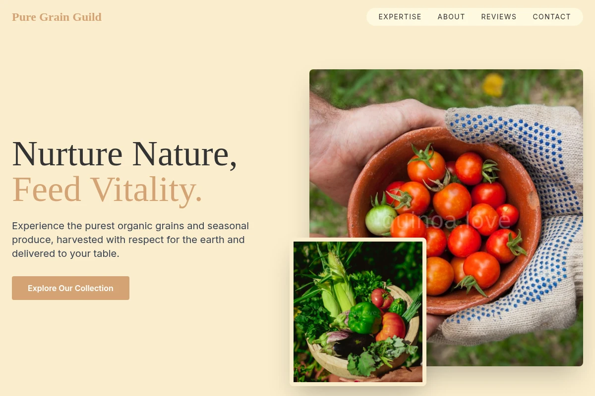 Root Organic Food